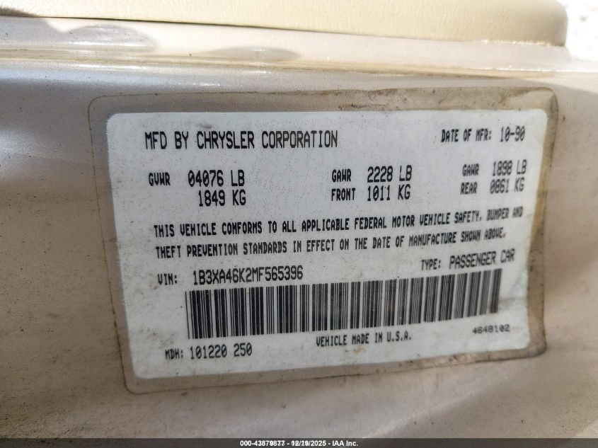 1991 Dodge Spirit VIN: 1B3XA46K2MF565396 Lot: 43879877