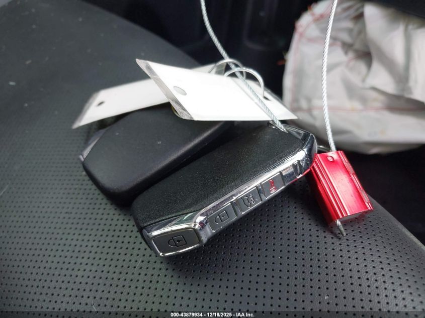 2020 Kia Telluride S VIN: 5XYP64HC1LG069961 Lot: 43879934