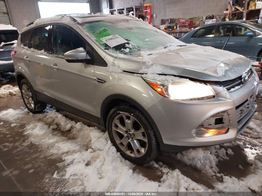 FORD ESCAPE SEL