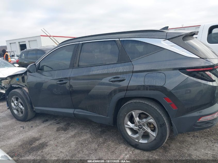 2023 Hyundai Tucson Sel VIN: 5NMJB3AE3PH244844 Lot: 43880109