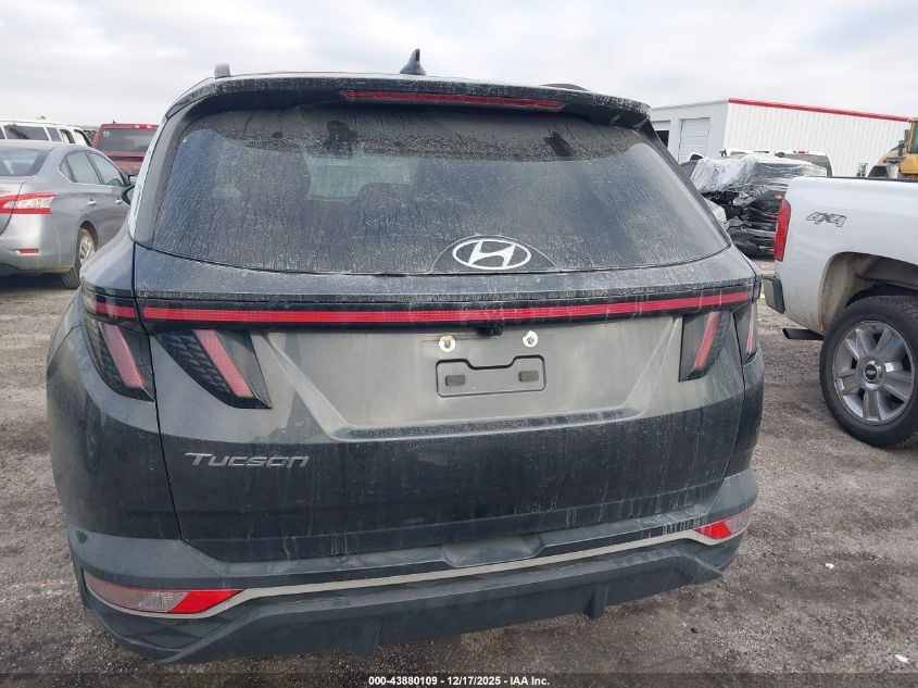 2023 Hyundai Tucson Sel VIN: 5NMJB3AE3PH244844 Lot: 43880109