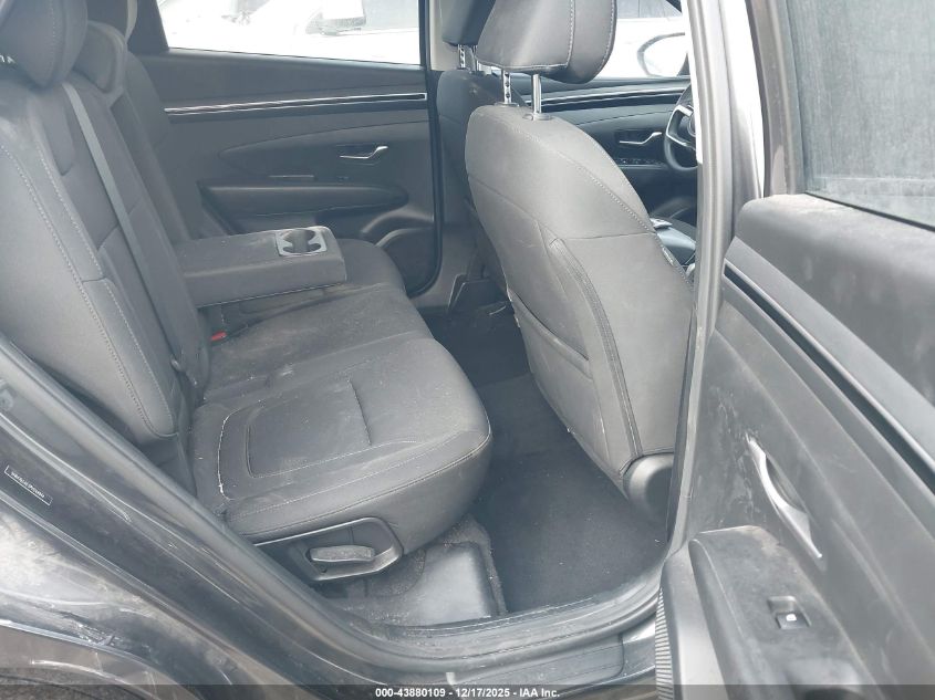 2023 Hyundai Tucson Sel VIN: 5NMJB3AE3PH244844 Lot: 43880109