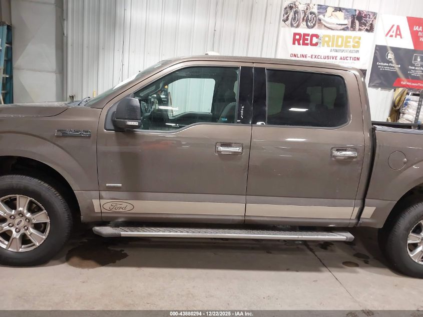 2016 Ford F-150 Xlt VIN: 1FTEW1EG5GFA13818 Lot: 43880294