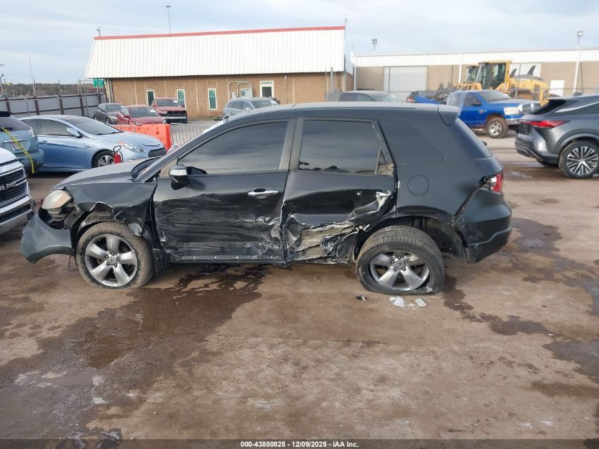 2007 Acura Rdx VIN: 5J8TB18267A005793 Lot: 43880828