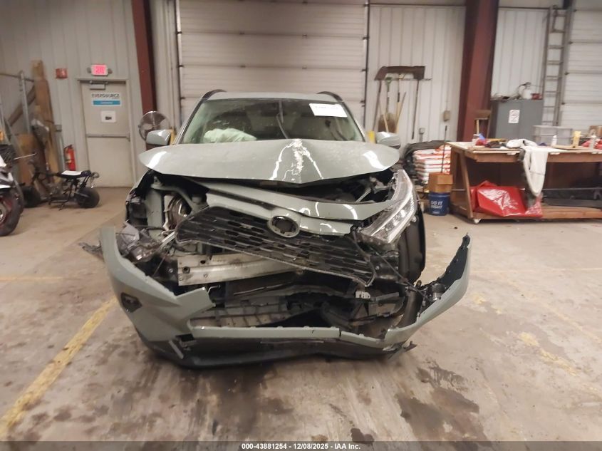 2019 Toyota Rav4 Xle VIN: JTMP1RFV8KD501104 Lot: 43881254