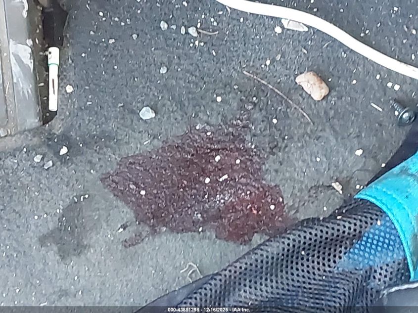 2017 Hyundai Tucson Limited VIN: KM8J3CA28HU501599 Lot: 43881298