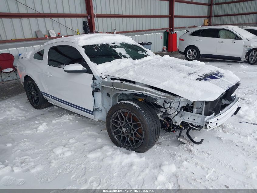 FORD SHELBY GT500 SHELBY GT500