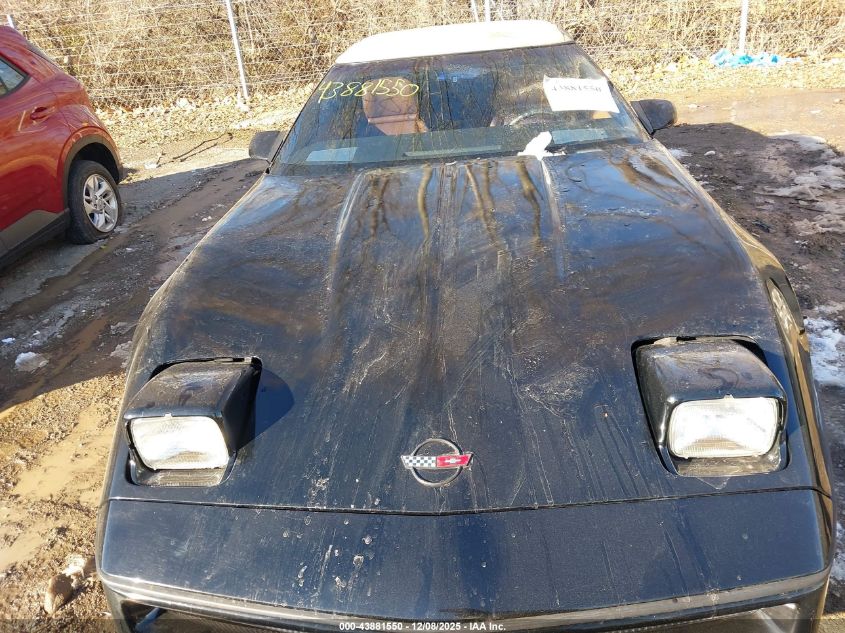 1989 Chevrolet Corvette VIN: 1G1YY3180K5113320 Lot: 43881550