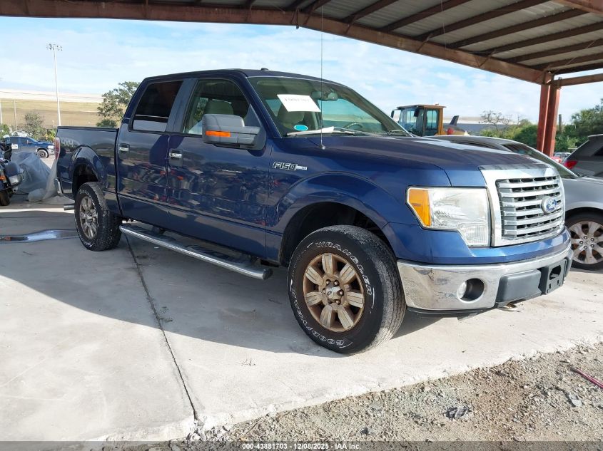 FORD F-150 XL/XLT