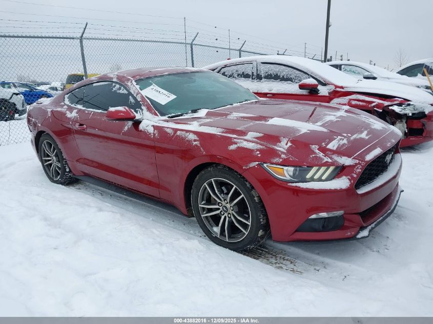 FORD MUSTANG ECOBOOST