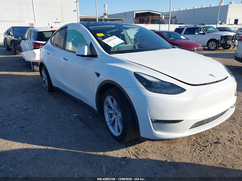 2022 TESLA MODEL Y (VIN: 7SAYGAEE8NF523903)