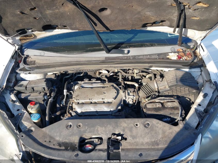 2009 Honda Odyssey Ex-L VIN: 5FNRL38719B018135 Lot: 43882239