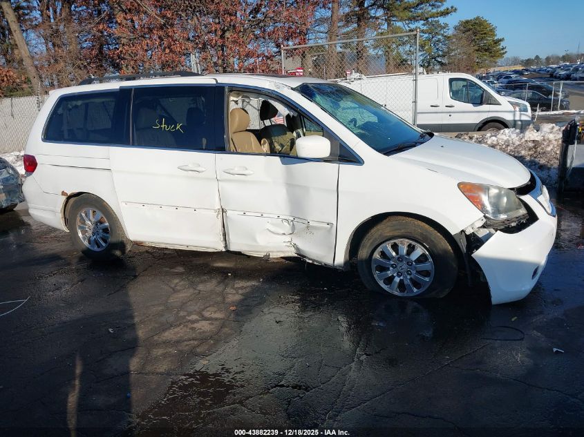 2009 Honda Odyssey Ex-L VIN: 5FNRL38719B018135 Lot: 43882239