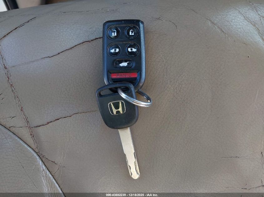 2009 Honda Odyssey Ex-L VIN: 5FNRL38719B018135 Lot: 43882239