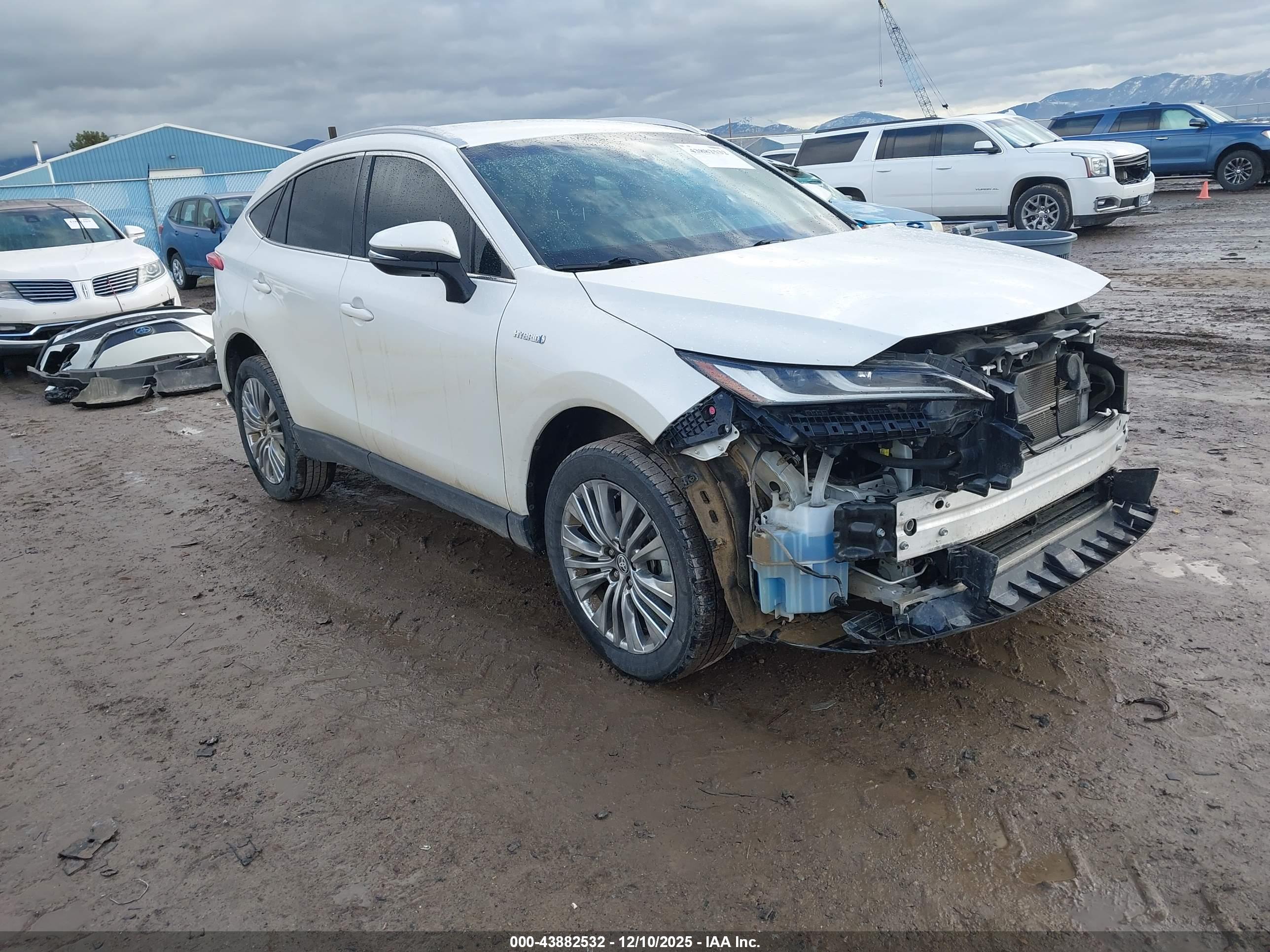 2021 Toyota Venza Xle
