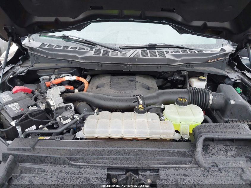 2021 Ford F-150 Lariat VIN: 1FTFW1ED4MFC83516 Lot: 43882804