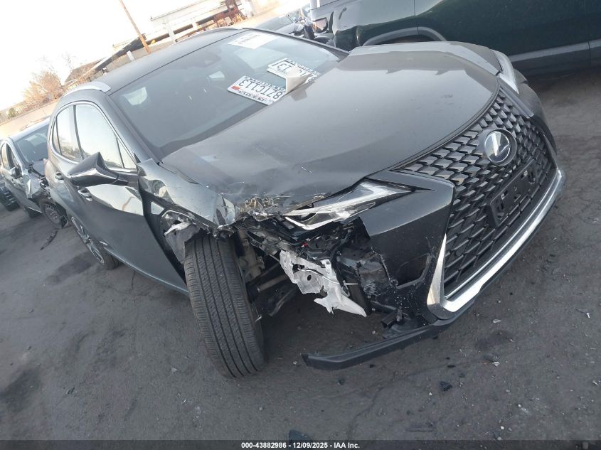 LEXUS UX 250H