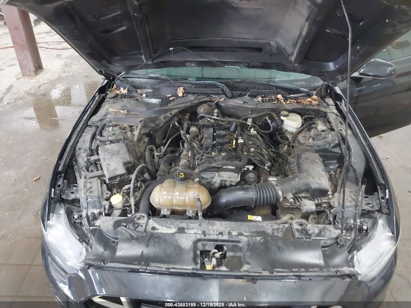 2017 Ford Mustang Ecoboost VIN: 1FA6P8TH2H5218175 Lot: 43883189