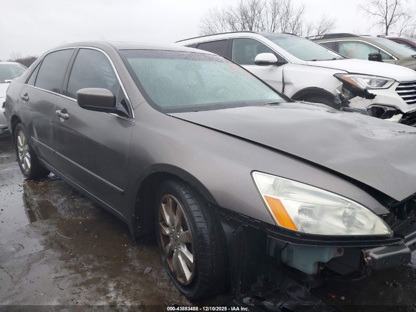 2007 Honda Accord 3.0 Ex VIN: 1HGCM66547A046847 Lot: 43883488