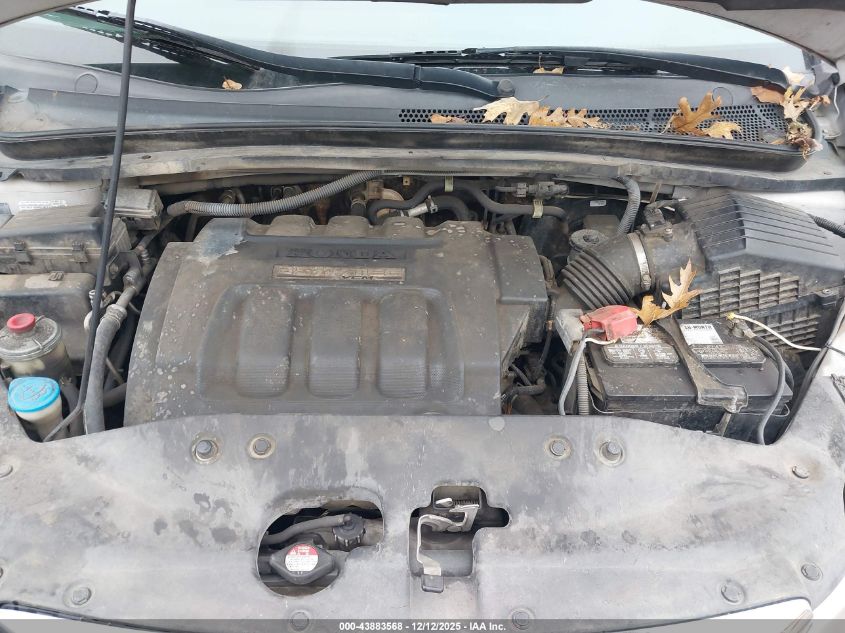 2007 Honda Odyssey Ex-L VIN: 5FNRL387X7B129229 Lot: 43883568