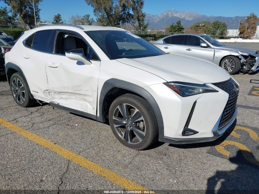 LEXUS UX 250H UX 250H