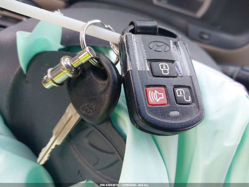 2006 Hyundai Santa Fe Gls/Limited VIN: KM8SC73E76U038239 Lot: 43883875