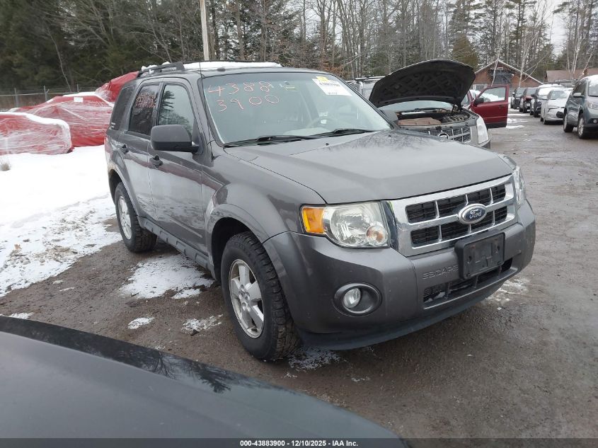 FORD ESCAPE XLT