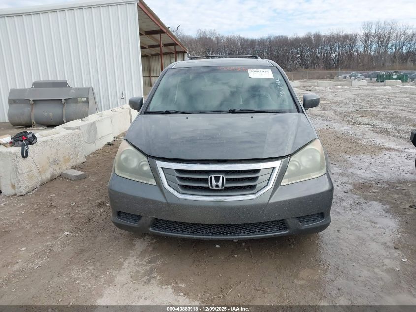 2008 Honda Odyssey Ex-L VIN: 5FNRL38768B031929 Lot: 43883918