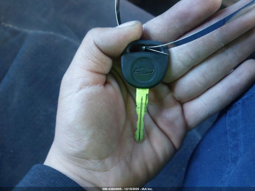 2002 Chevrolet Silverado 1500 Ls VIN: 1GCEK14T52Z231338 Lot: 43884085