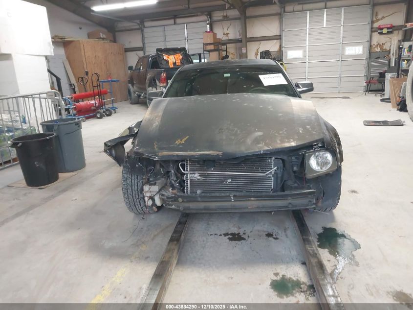 2007 Ford Mustang Gt Deluxe/Gt Premium VIN: 1ZVFT82H175197578 Lot: 43884290