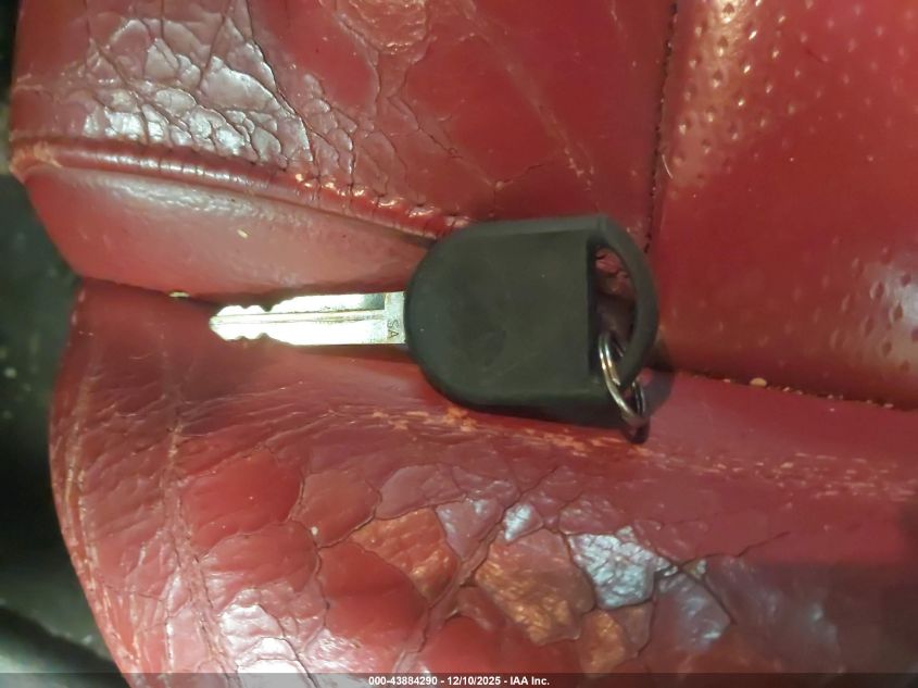 2007 Ford Mustang Gt Deluxe/Gt Premium VIN: 1ZVFT82H175197578 Lot: 43884290