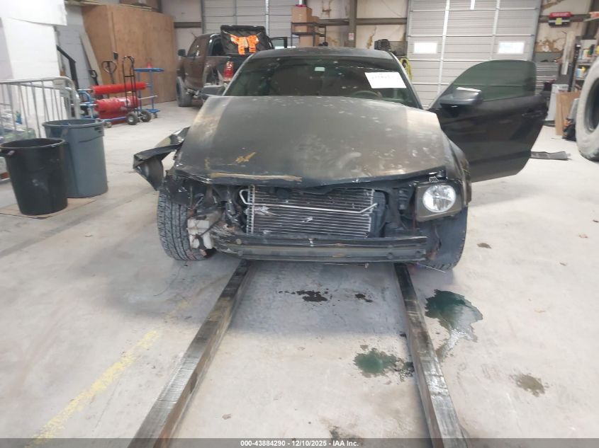 2007 Ford Mustang Gt Deluxe/Gt Premium VIN: 1ZVFT82H175197578 Lot: 43884290