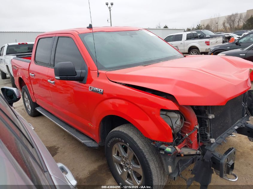 2019 Ford F-150 Xlt VIN: 1FTEW1E52KKD88760 Lot: 43884295