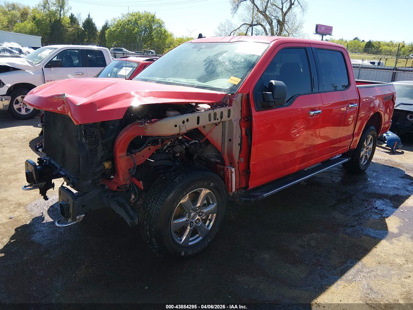 1FTEW1E52KKD88760 2019 FORD F-150 XLT photo 1