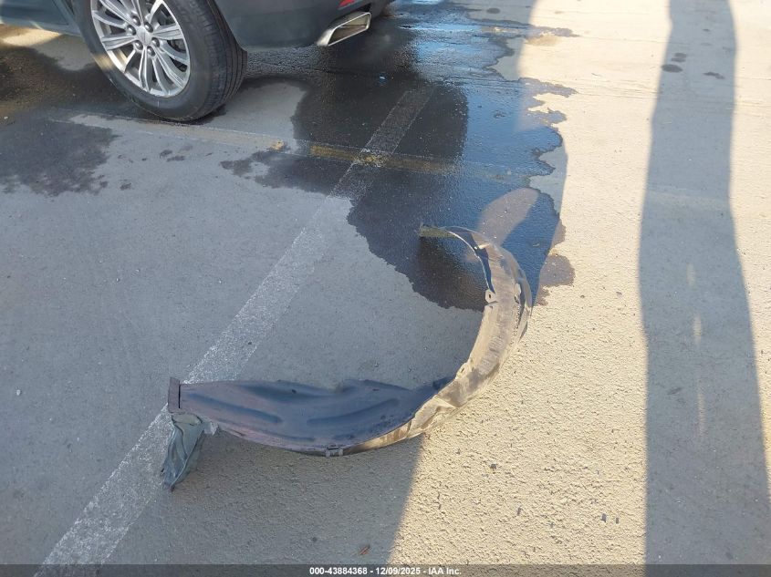 2010 Scion Xd VIN: JTKKU4B42AJ051198 Lot: 43884368