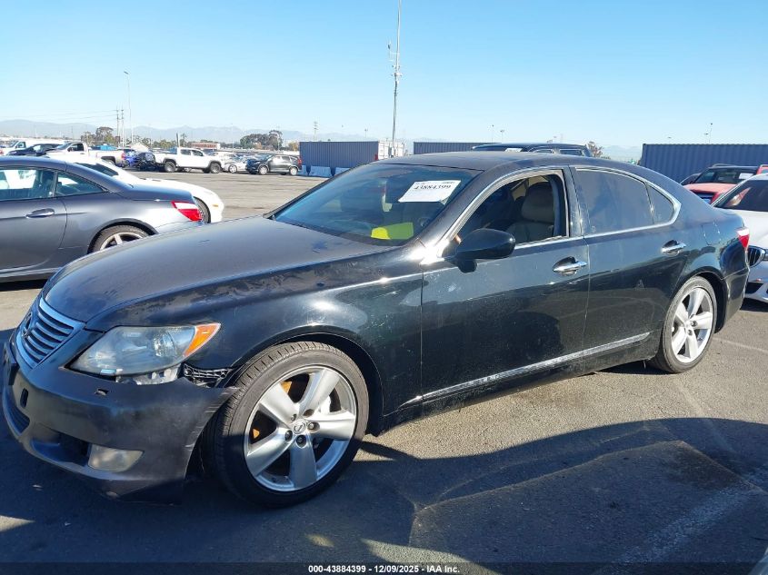 2008 Lexus Ls 460 VIN: JTHBL46F385075517 Lot: 43884399