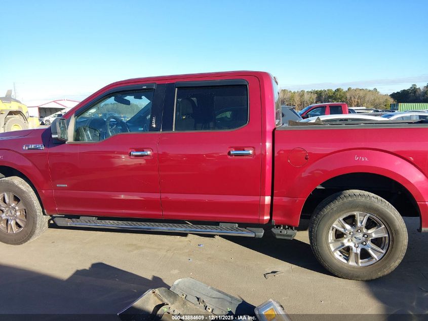 2015 Ford F-150 Xlt VIN: 1FTEW1CP9FFC35828 Lot: 43884609