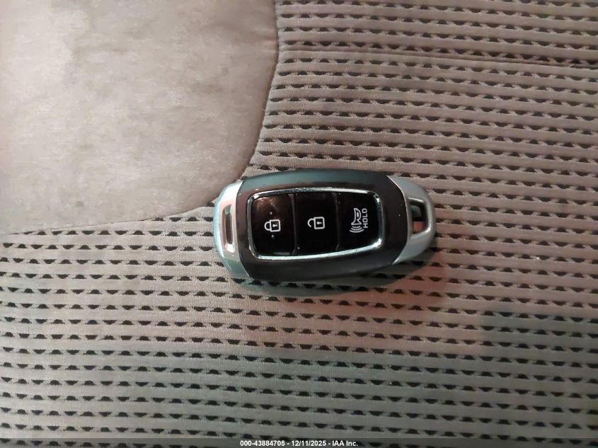 2020 Hyundai Santa Fe Sel VIN: 5NMS3CAD3LH289012 Lot: 43884705