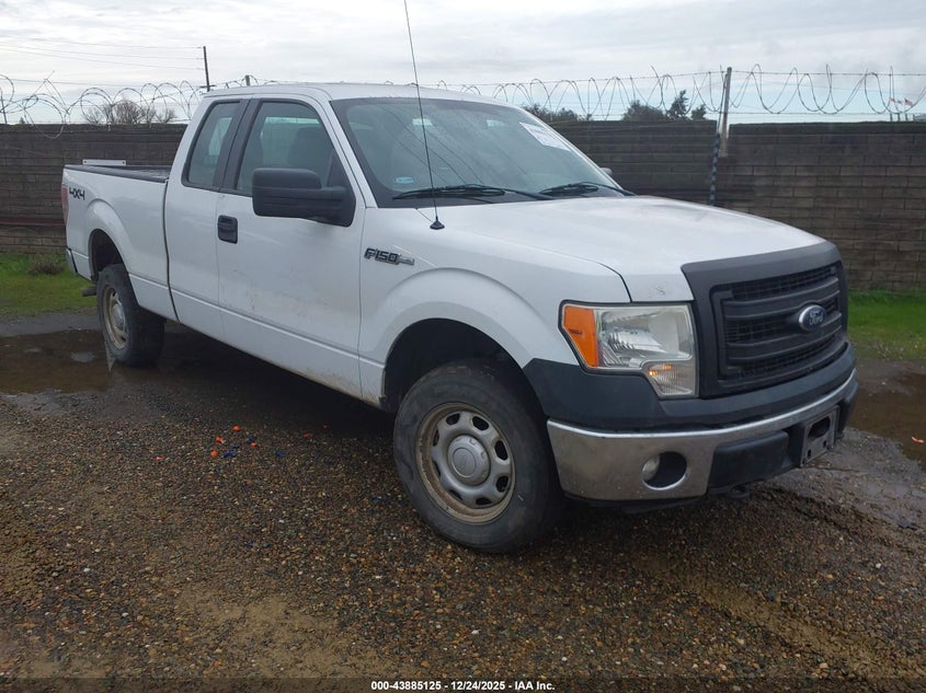 1FTFX1EF8DKD37681 2013 Ford F-150 Xl auction photo 1