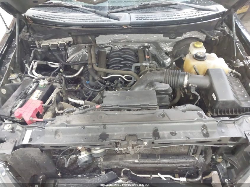 2014 Ford F-150 Xlt VIN: 1FTFW1CF5EKD51481 Lot: 43885299