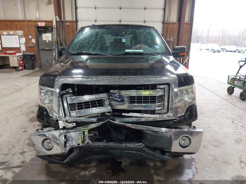 2014 Ford F-150 Xlt VIN: 1FTFW1CF5EKD51481 Lot: 43885299