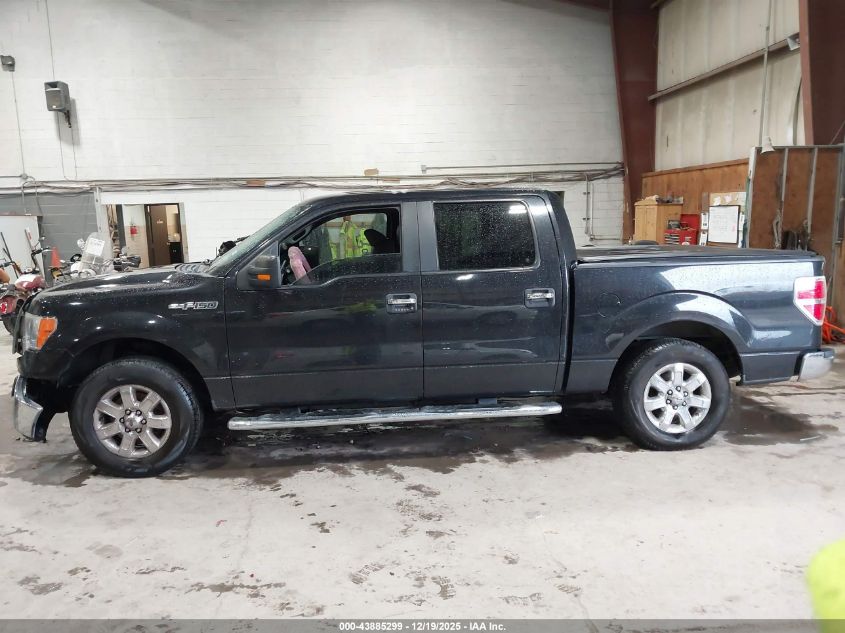 2014 Ford F-150 Xlt VIN: 1FTFW1CF5EKD51481 Lot: 43885299