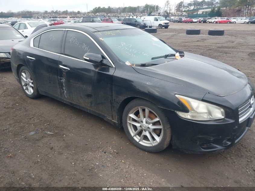 NISSAN MAXIMA 3.5 SV