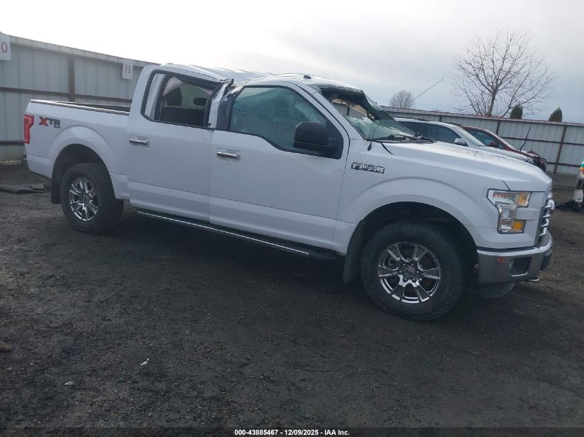 FORD F-150 XLT