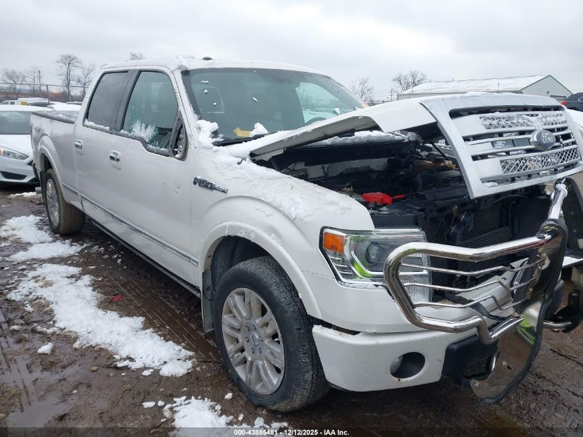 FORD F-150 PLATINUM