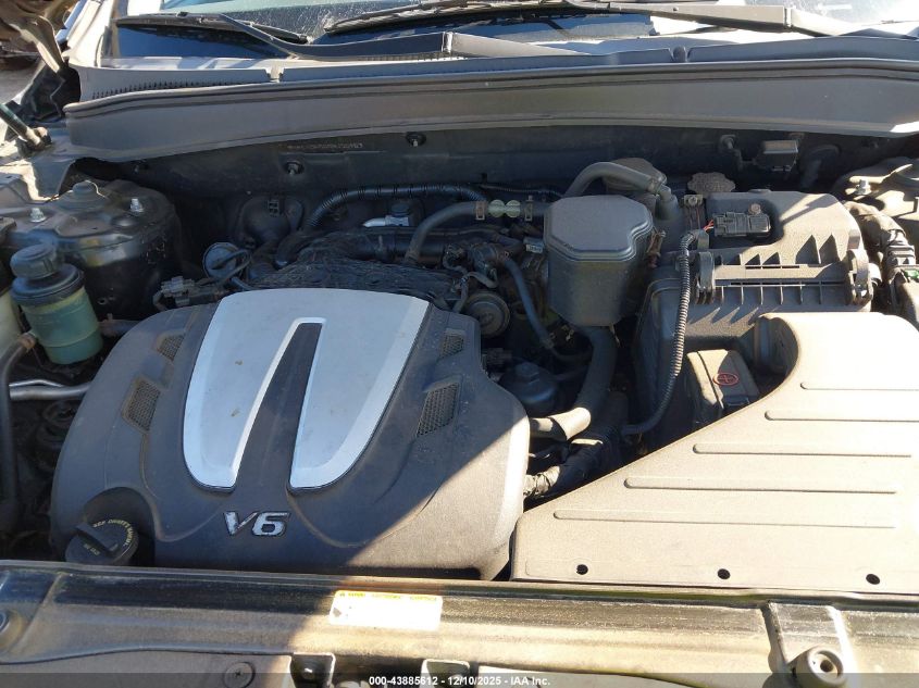 2010 Hyundai Santa Fe Se VIN: 5NMSHDAG6AH356183 Lot: 43885612