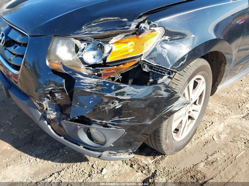 2010 Hyundai Santa Fe Se VIN: 5NMSHDAG6AH356183 Lot: 43885612