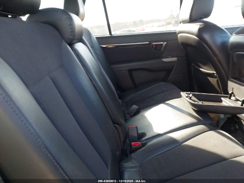 2010 Hyundai Santa Fe Se VIN: 5NMSHDAG6AH356183 Lot: 43885612