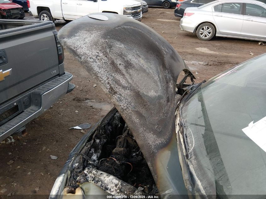 2005 Volkswagen New Beetle Gls VIN: 3VWCK31C75M413746 Lot: 43886316