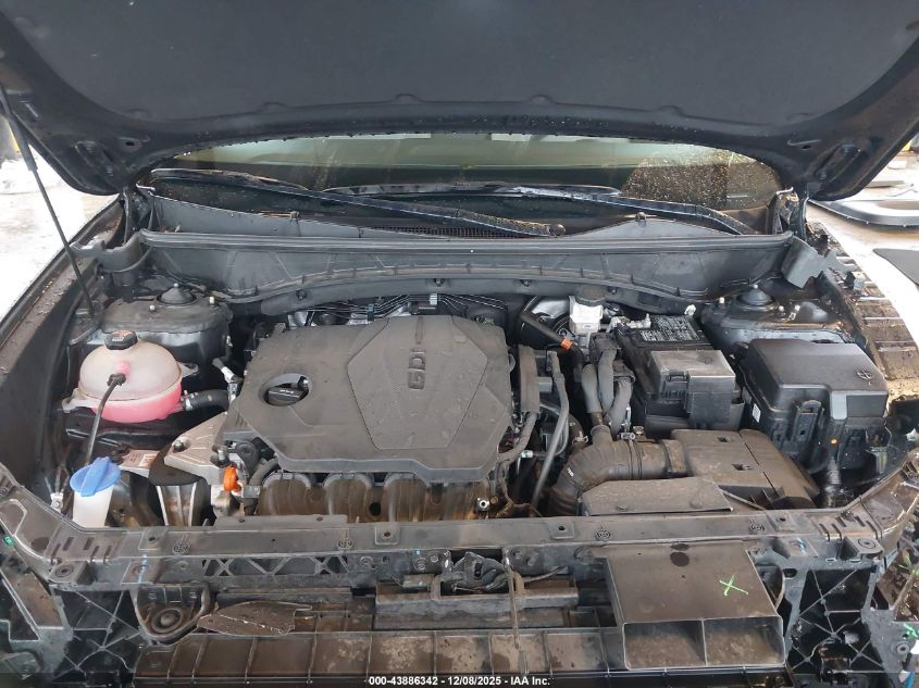 2023 Hyundai Tucson Sel VIN: 5NMJF3AE6PH162384 Lot: 43886342